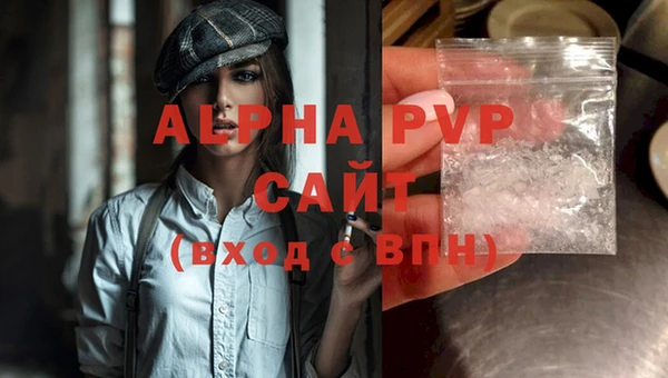 стафф Новокубанск
