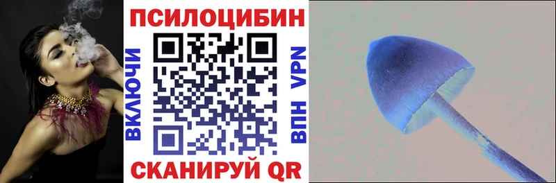 где продают наркотики  omg рабочий сайт  Галлюциногенные грибы Psilocybe  Тимашёвск 