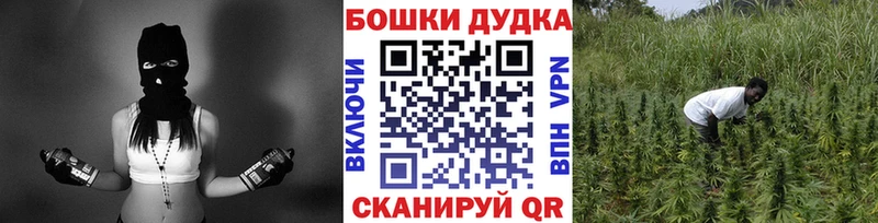 где можно купить наркотик  Тимашёвск  Бошки Шишки THC 21% 